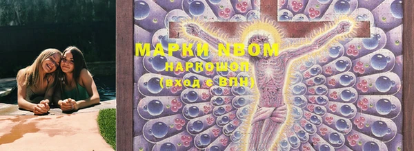ПСИЛОЦИБИНОВЫЕ ГРИБЫ Алексеевка