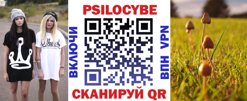 Псилоцибиновые грибы MAGIC MUSHROOMS  купить наркоту  Солнечногорск 