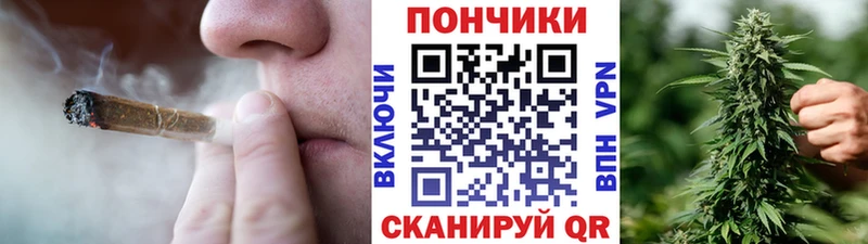 купить наркотик  Солнечногорск  Конопля White Widow 